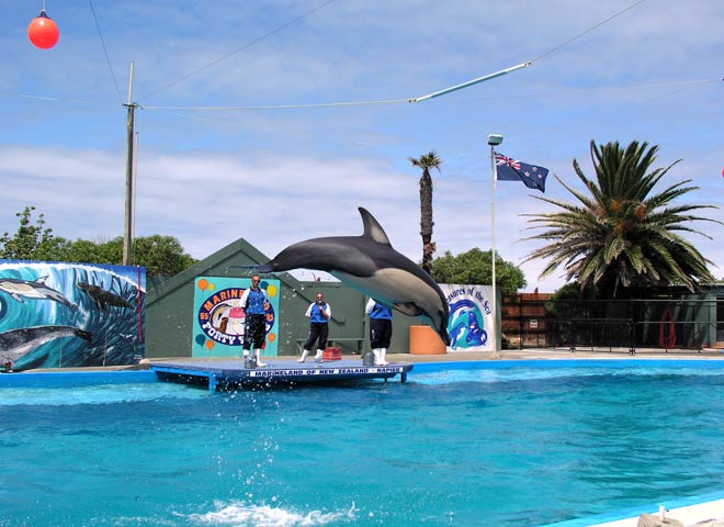 Marineland 2008