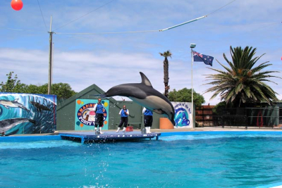 2008: Marineland closes after 43 years