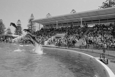 1965: Marineland opens