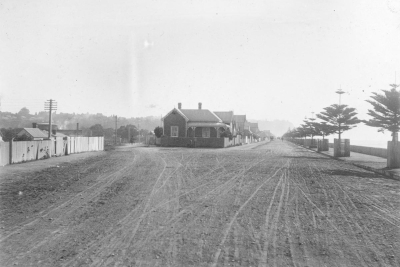 1890: First Norfolk Pines along Marine Parade