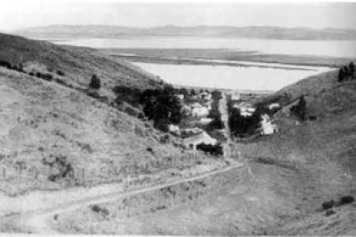 1880: Onepoto Gully