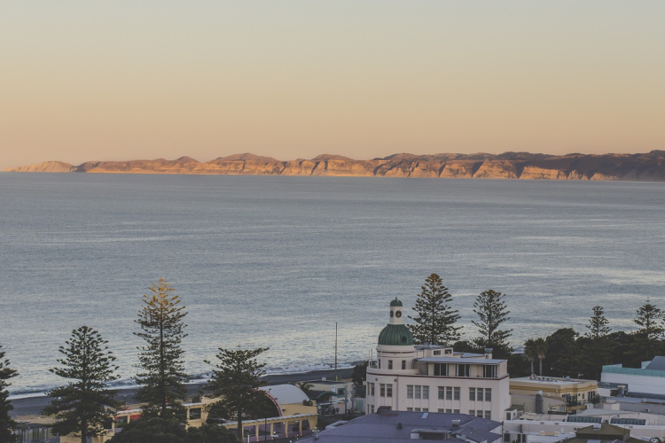 View from Napier hill.