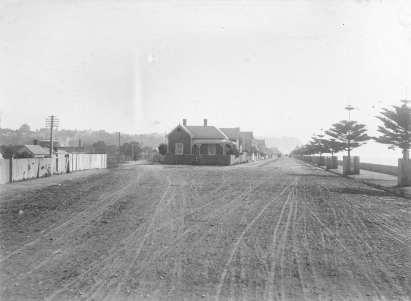 Marine Parade 1890 with young Norfolk Pines