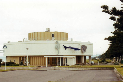 1957: National Aquarium of NZ opens